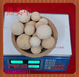 河南廠家直銷優(yōu)質(zhì)耐火球 60直徑耐火球 生產(chǎn)批發(fā)