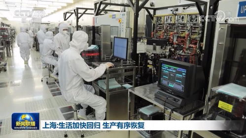 上海 生活加快回歸 生產(chǎn)有序恢復